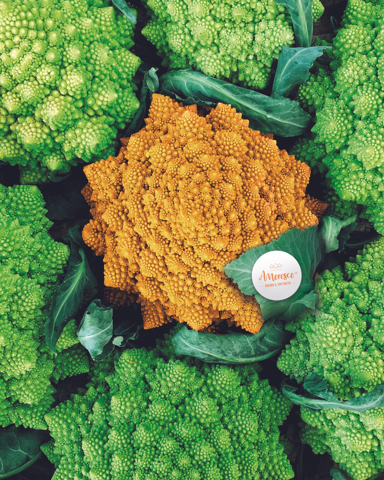 Orange and green Amoresco cauliflower
