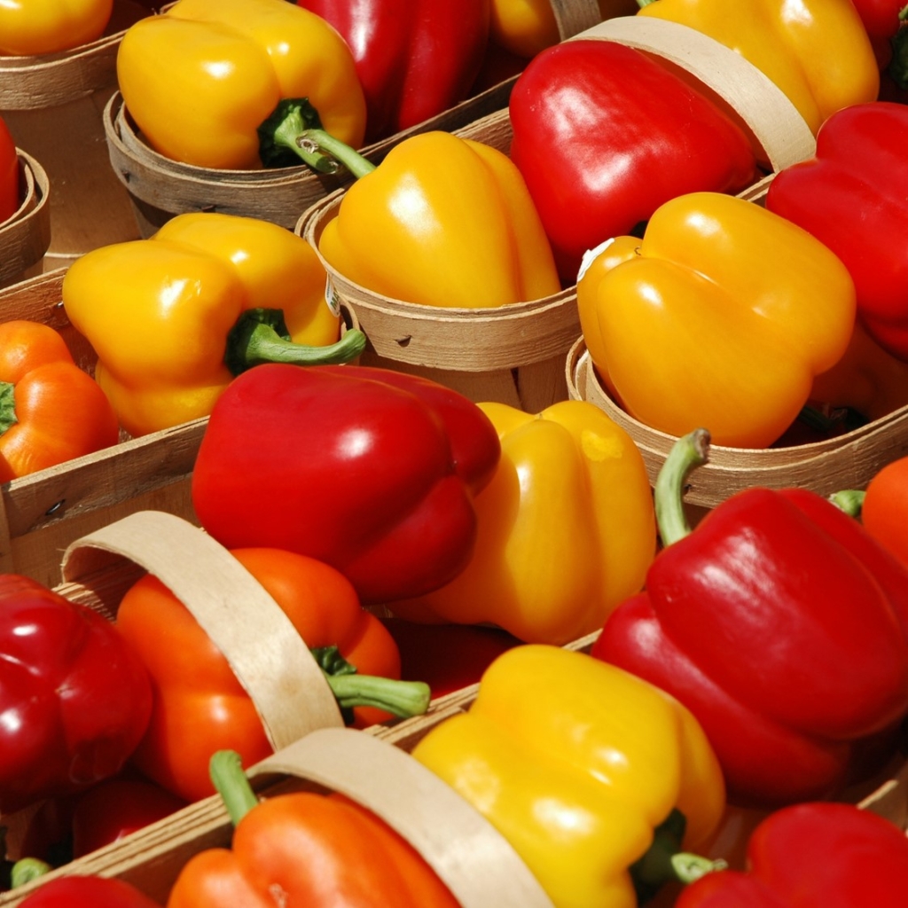 Bell Peppers sall HM.CLAUSE